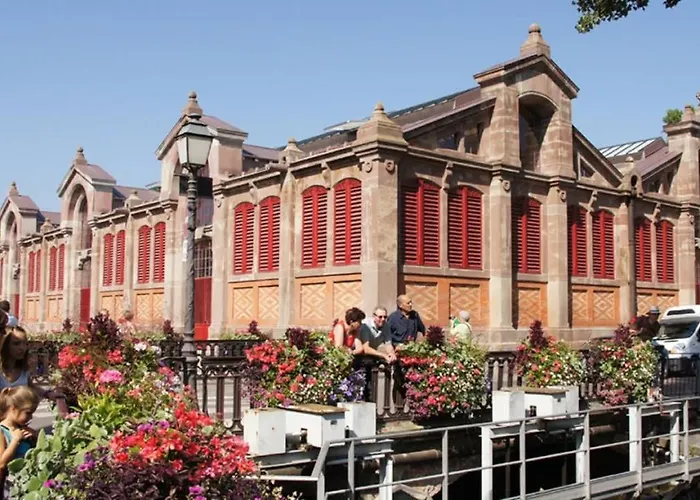 Colmar Nature - Quiet Apartment MARAICHERS