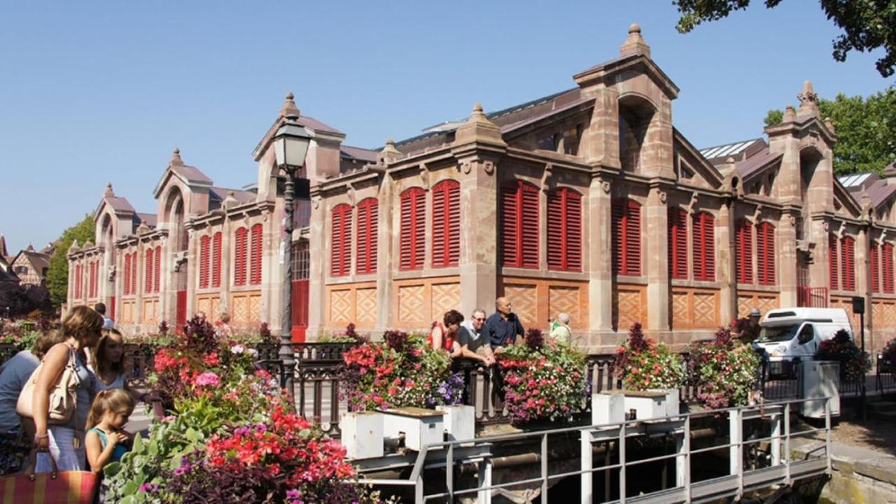 Nature - Quiet Maraichers * Colmar